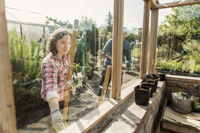 Couple at community garden seen through glass window of greenhouse