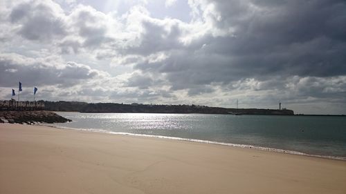 Seagull on beach against cloudy sky