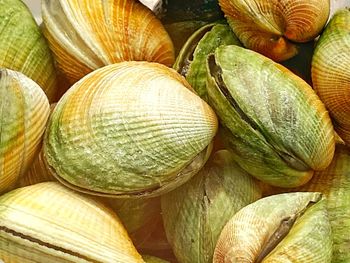 Full frame shot of onions for sale at market