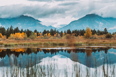 Reflection of trees in lake against sky