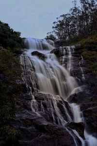 Scenic view of waterfall in forest