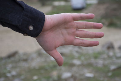 Close-up of hand holding leaf outdoors