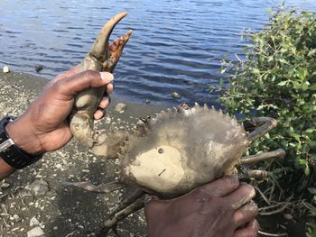 Midsection of man holding stick in water