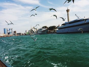 Seagulls flying over sea against sky