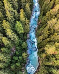 High angle view of stream amidst trees in forest