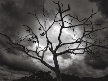 Low angle view of bare trees against cloudy sky