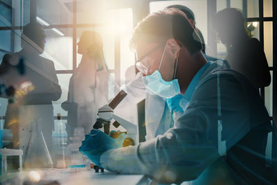 Rear view of scientist working in laboratory