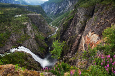 Scenic view of waterfall