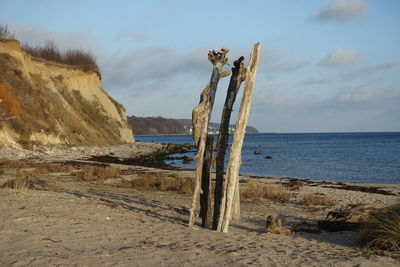 Driftwood on beach against sky