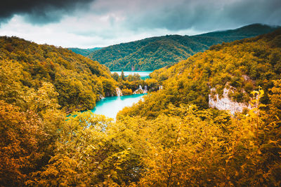 Scenic view of trees and mountains during autumn