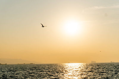 Bird flying over sea against sky during sunset