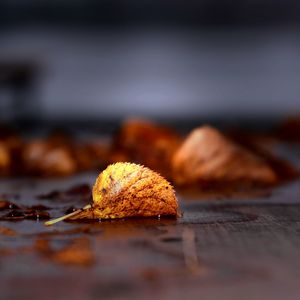 Fallen leaves on footpath