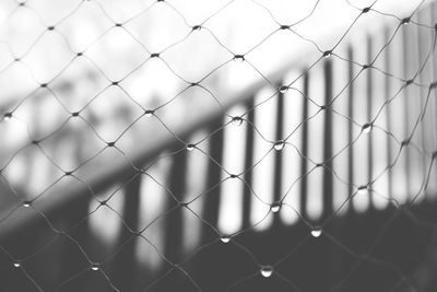 Detail shot of chainlink fence