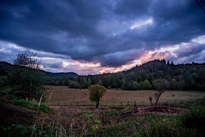 Scenic view of field against sky during sunset