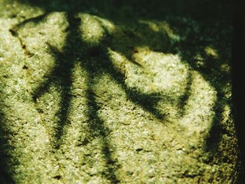 High angle view of shadow on ground