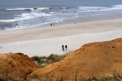 View of dog walking on beach