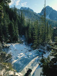 Scenic view of waterfall in forest against sky