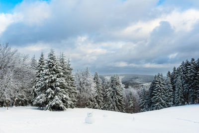 Trees on snow covered landscape against sky