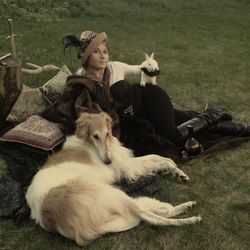 Dog relaxing on field