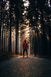 Traveller stands on a dirt road at sunset in a spruce forest and watches the rays of the sun