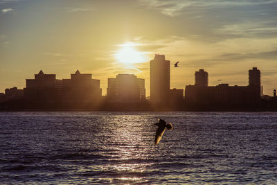 City at sunset