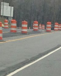 Road along trees