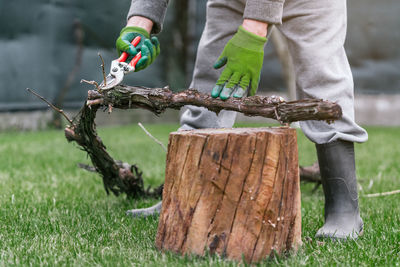 Closeup of a caucasian male in safety gloves removing branches from a log with pruning shears