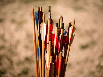 Close-up of colored pencils