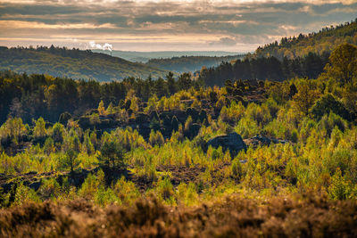 Scenic view of landscape against sky during sunset