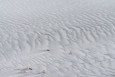 High angle view of bird on snow covered land