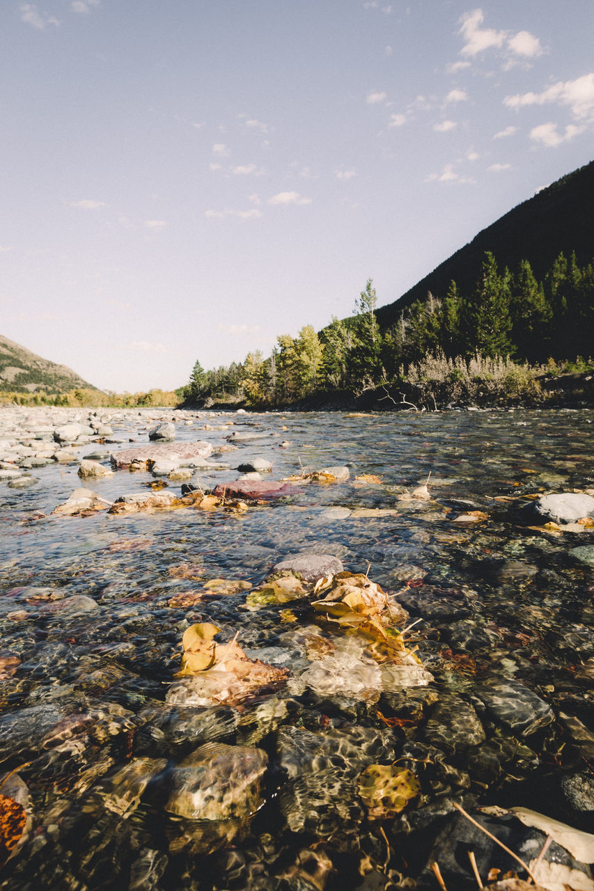 SURFACE LEVEL OF WATER FLOWING OVER ROCKS