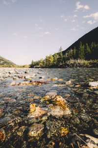 Scenic view of river against sky