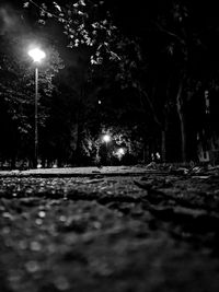 Surface level of street amidst trees at night