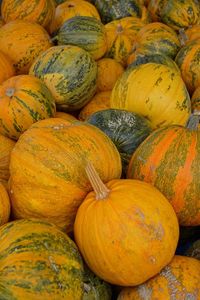 Full frame shot of fresh pumpkins at market stall