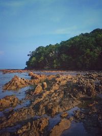 Scenic view of beach against sky