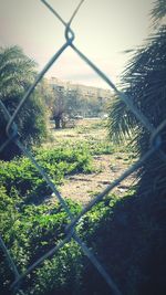 Chainlink fence on field