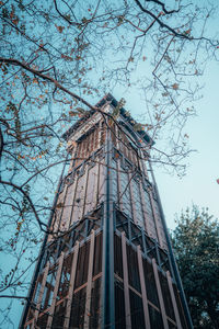 Low angle view of tree and building against sky