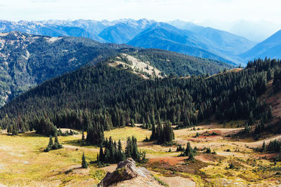 View of trees on landscape against mountain