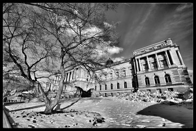 Bare trees and buildings in city during winter