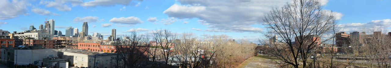 Panoramic view of buildings and trees against sky