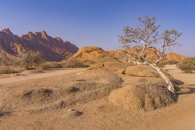 Scenic view of landscape against clear sky