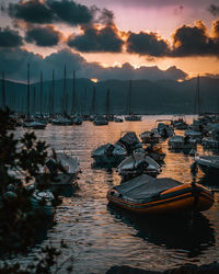 Sailboats moored at harbor during sunset