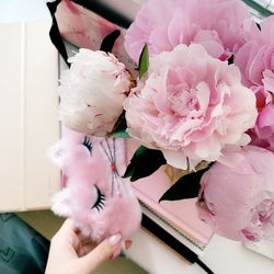 Close-up of hand holding pink roses