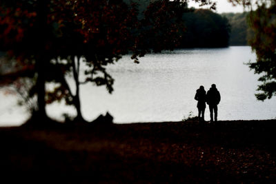 Silhouette men walking on tree against sky