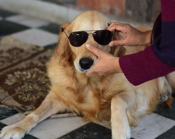 Midsection of woman with dog mission wear goggle 