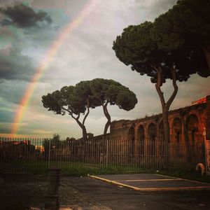 Scenic view of rainbow over trees in city against sky