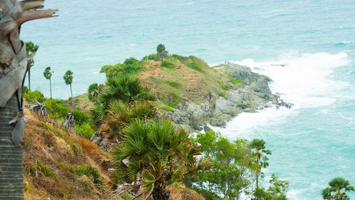 High angle view of trees by sea