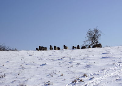Scenic view of snowy landscape against clear blue sky