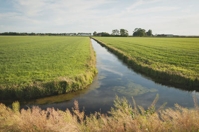 Scenic view of field against cloudy sky