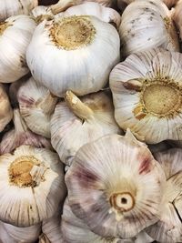 High angle view of garlic bulbs